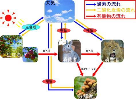 物質界|物質界とは？ わかりやすく解説